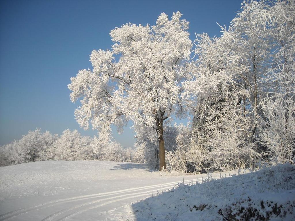 Albergotto Natalina Grazzano Badoglio Pokoj fotografie